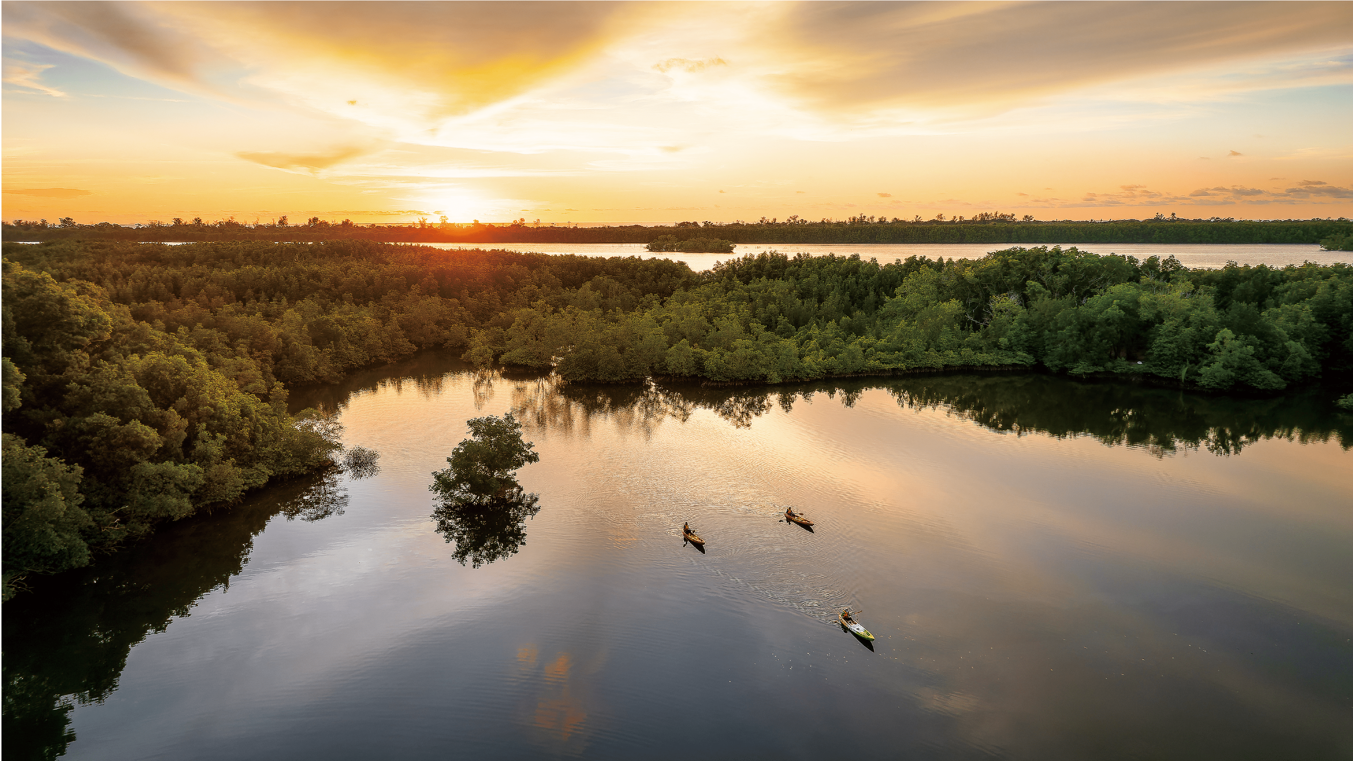the outdoor ecosystem